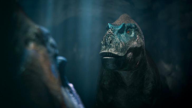 Deux albertosaurus